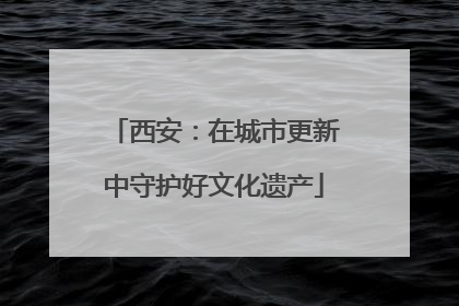 西安：在城市更新中守护好文化遗产